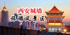 老司机看黄网站中国陕西-西安城墙旅游风景区
